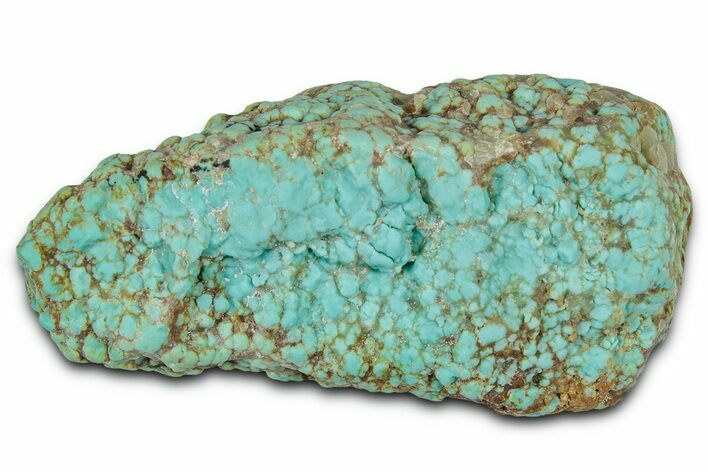 Tumbled Turquoise Specimen - Number Mine, Carlin, NV #331226